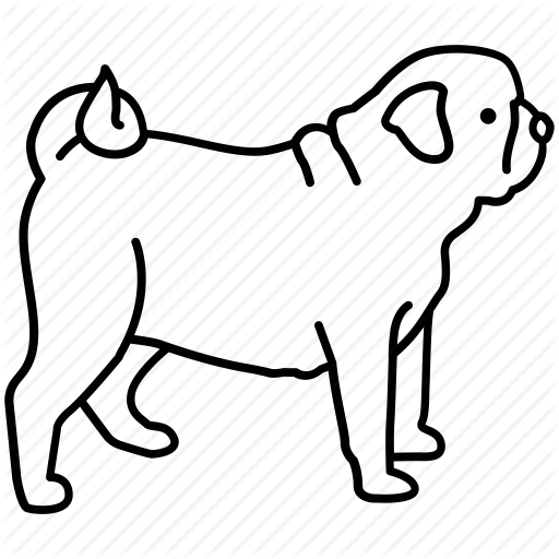 512x512 Drawing Bulldogs Realistic Transparent Png Clipart Free Download