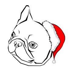 240x240 Line Drawing Of A Bulldog Photos, Royalty Free Images, Graphics