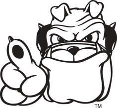 Bulldog Mascot Drawing