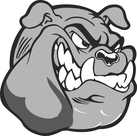446x443 Bulldog Mascot Drawing