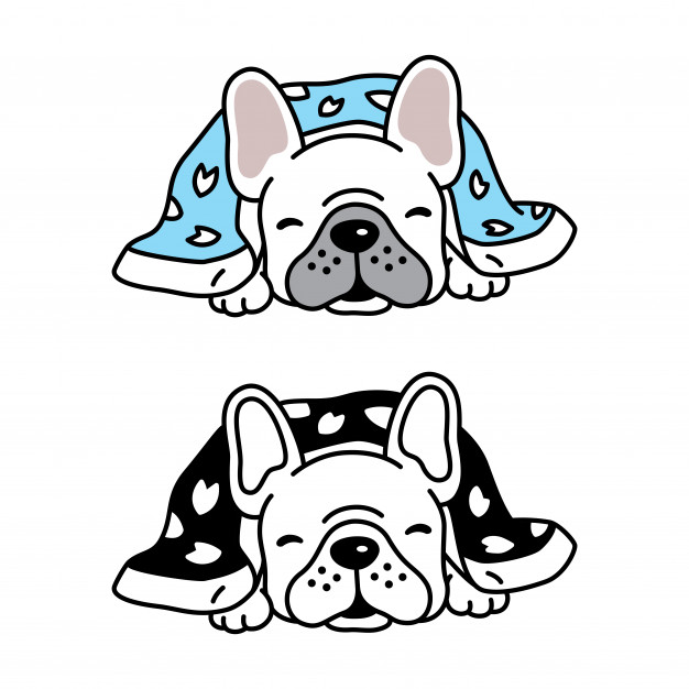 626x626 Dog Vector French Bulldog Puppy Sleeping Blanket Cartoon Vector