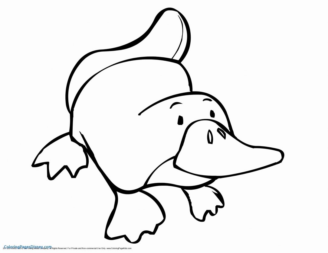 1084x838 Georgia Coloring Pages Print Cute Bulldog Puppy English Free