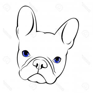 300x300 Photostock Vector Bulldog Dog Animal French Vector Illustration