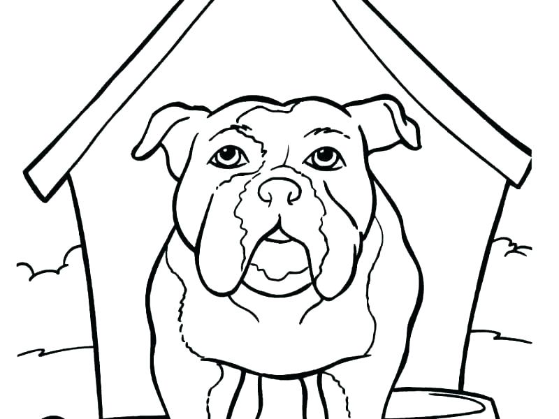 800x600 Puppy Coloring Pages Printable Puppy Coloring
