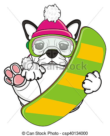 380x470 white french bulldog puppy french bulldog hold a snowboard