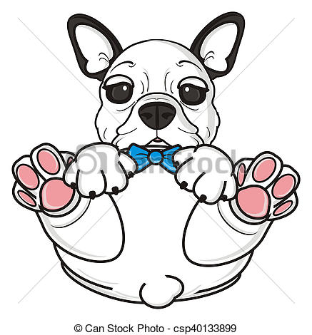 437x470 white french bulldog puppy french bulldog with blue bow