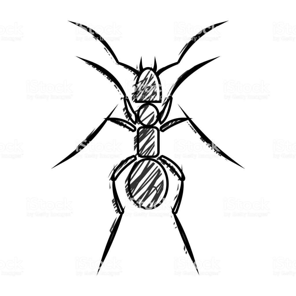 1024x1024 ant an drawing free easy bullet colony step