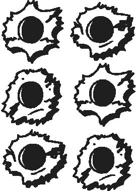 270x380 Bullet Holes, Vinyl Cut