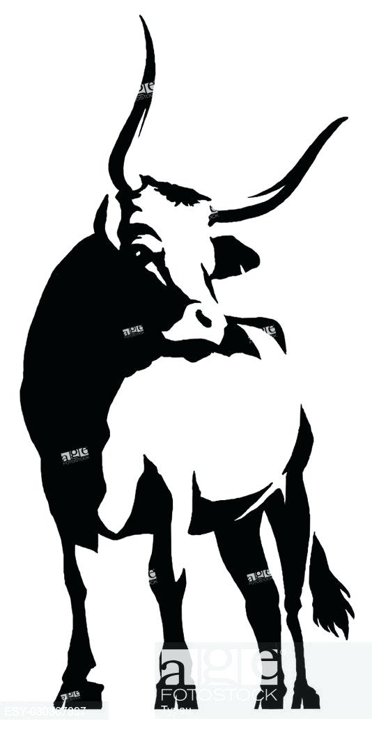 534x1048 How To Draw Bull