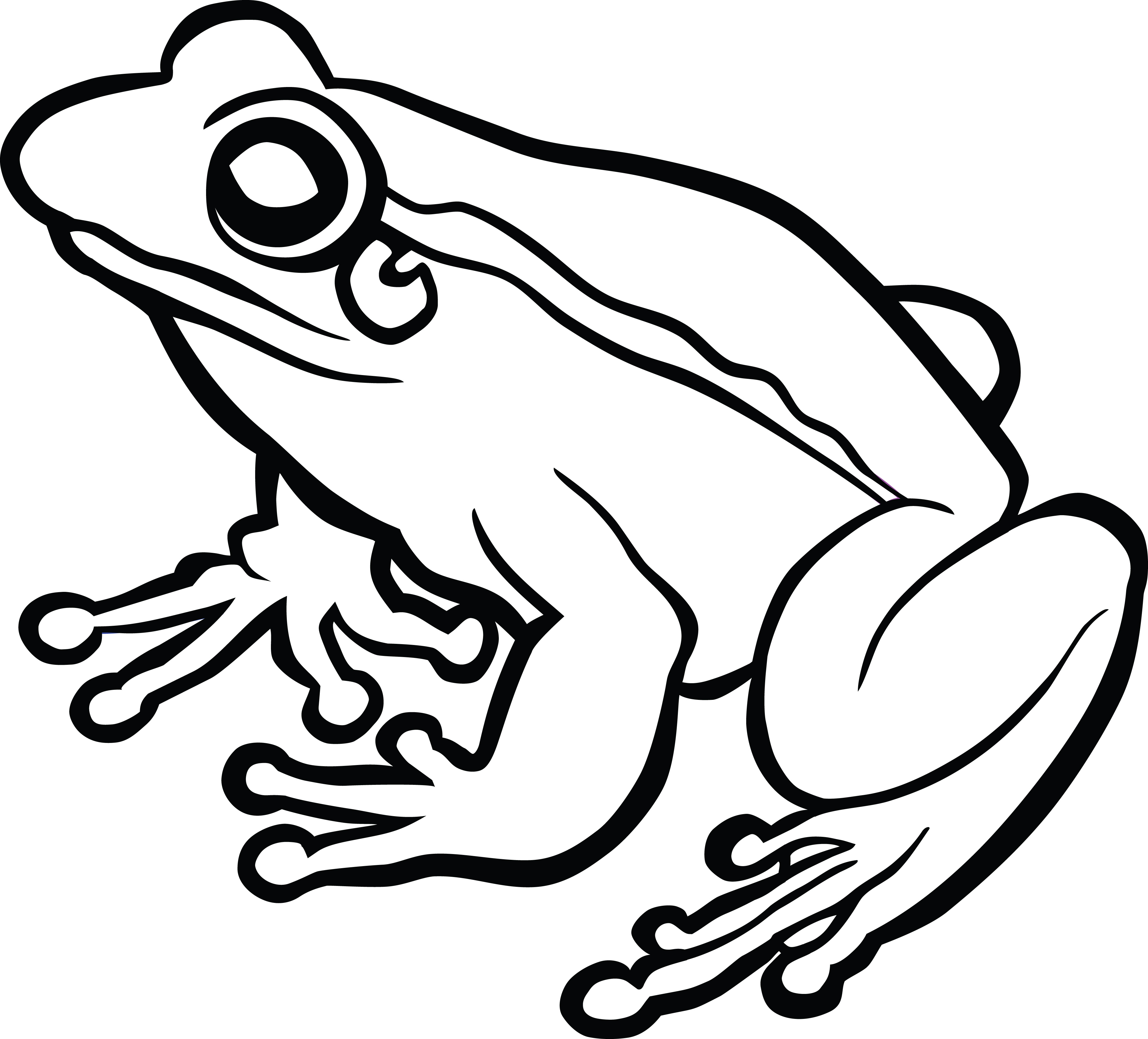 4000x3618 Clipart Of Frogs Images