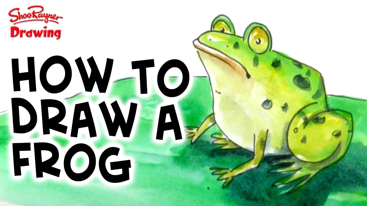 1280x720 How To Draw And Paint A Frog In Watercolor