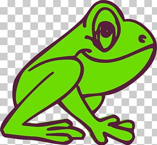 310x286 kermit the frog png, clipart, american bullfrog, amphibian