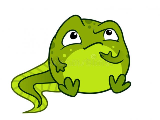 640x480 bullfrog clipart kodok free clip art stock illustrations