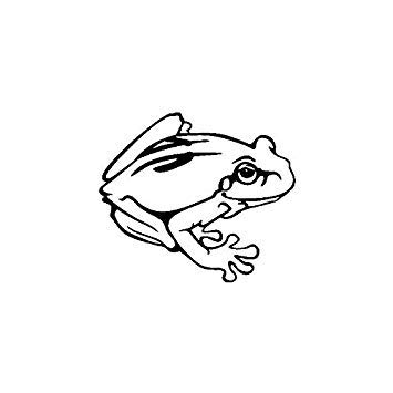 355x355 uniqus yjzt funny toad bullfrog amphibians lovely