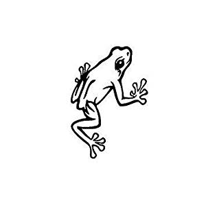 300x300 yjzt funny toad bullfrog amphibians vinyl