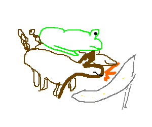 300x250 a bullfrog skipping rope with two llamas