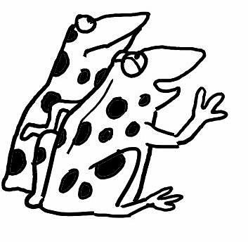 353x344 american bullfrog coloring page
