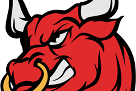 Bulls Logo Drawing