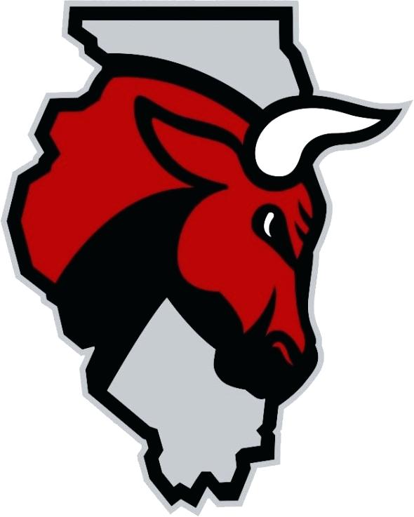590x737 beautiful chicago bulls logo and the bull mascot for the bulls