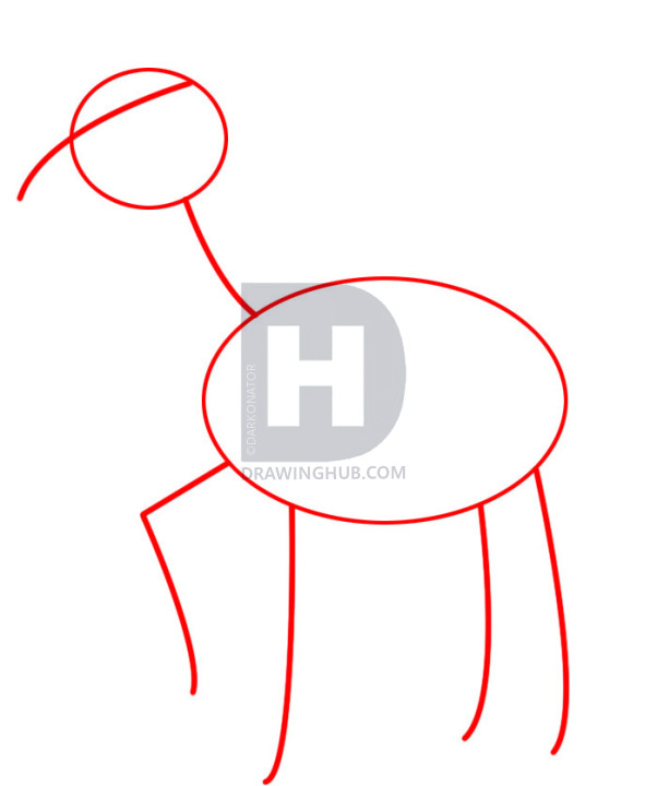 602x720 How To Draw Bullseye, Step