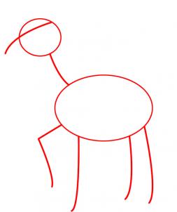 253x302 How To Draw How To Draw Bullseye