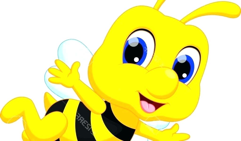 1024x600 Honey Bee Drawing Cartoon
