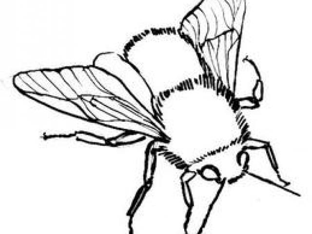 640x480 Clipart Wallpaper Blink