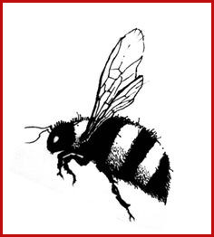 236x262 Showcase Bumble Bee Drawing Image Of Drawing Design