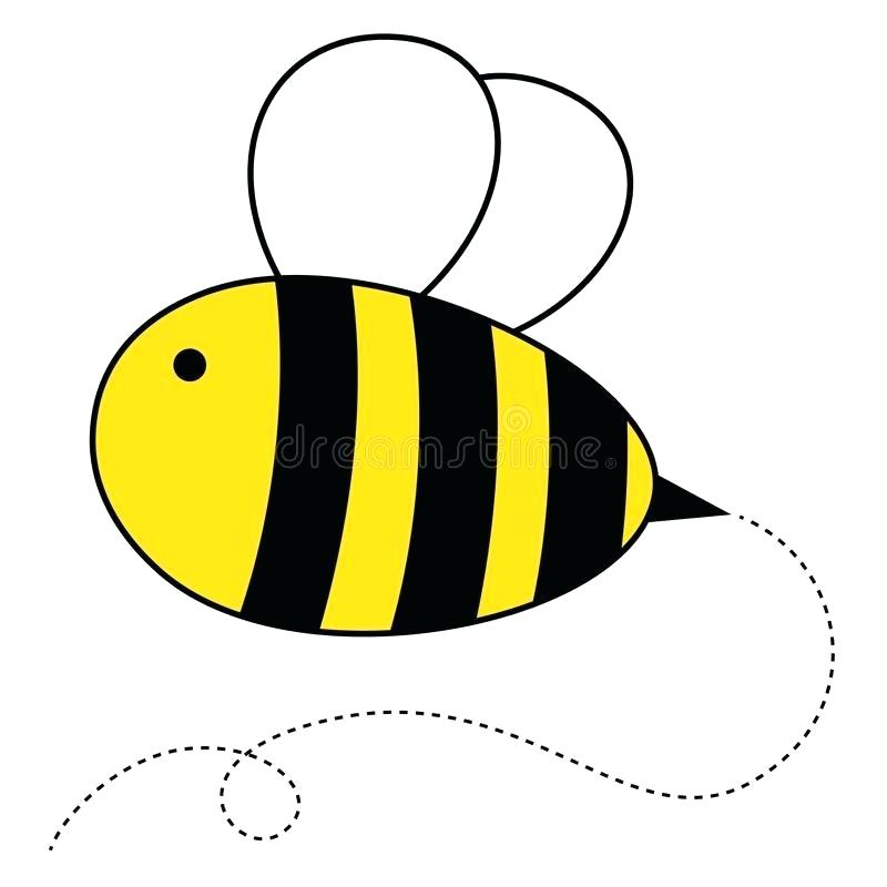 800x800 Honey Bee Drawing Cartoon