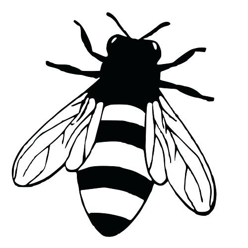 500x500 bee drawings charcoal bee drawing