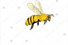 236x157 Bumble Bee Drawing Bumblebee Tutorial Free Easy Carmi Chaelinn