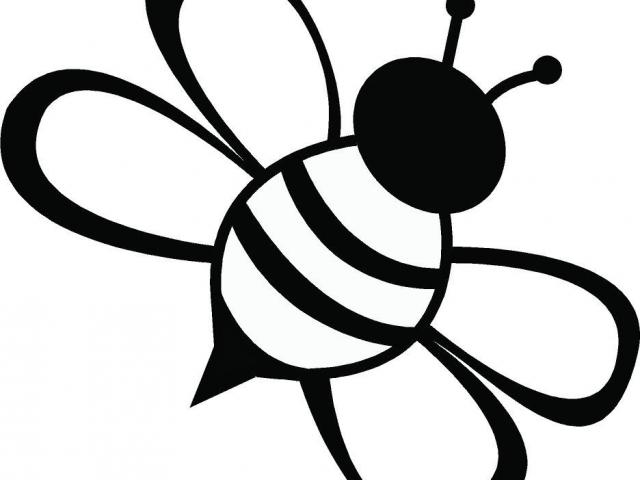 640x480 Drawn Bumblebee