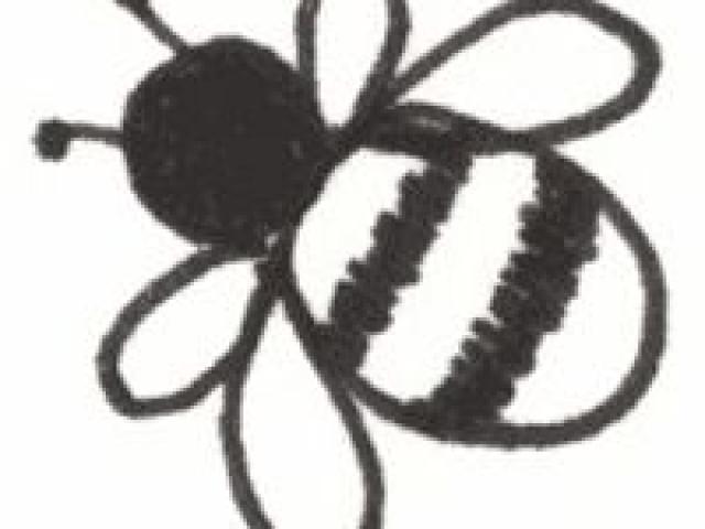 640x480 Free Drawn Bumblebee, Download Free Clip Art