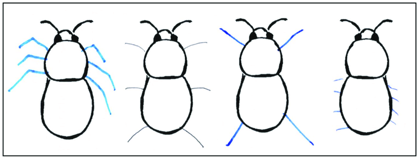 850x322 selected examples of the legs drawn on the bumblebee body