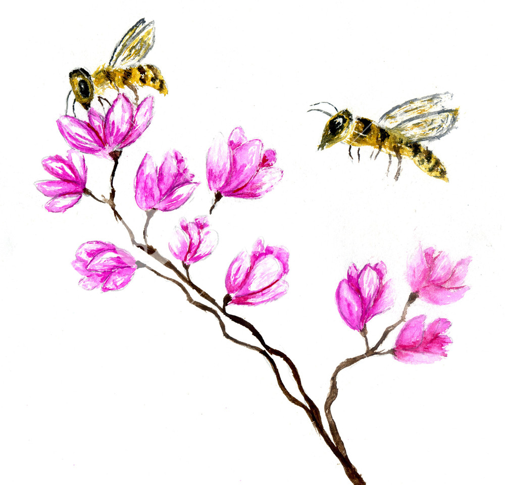 1000x961 Yellow Honey Bee Hand Drawn Watercolor Illustration Royalty Free
