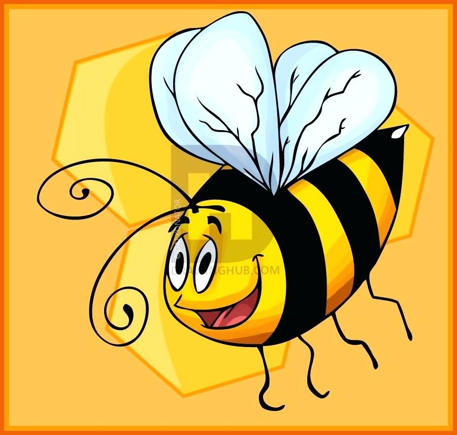 900x856 How To Draw A Cartoon Bee Step