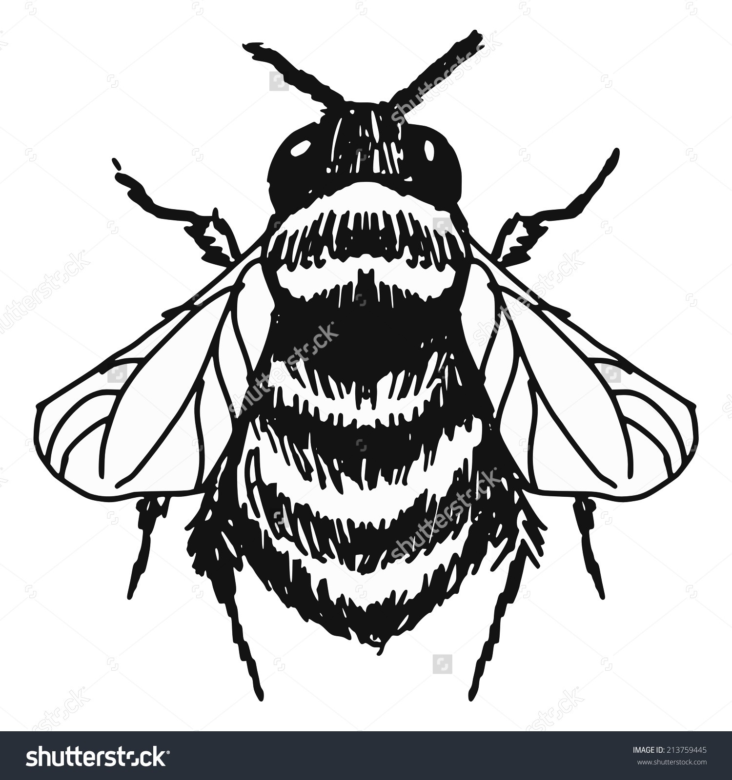 1500x1600 Drawn Bumblebee Drawing Free Clip Art Stock Illustrations