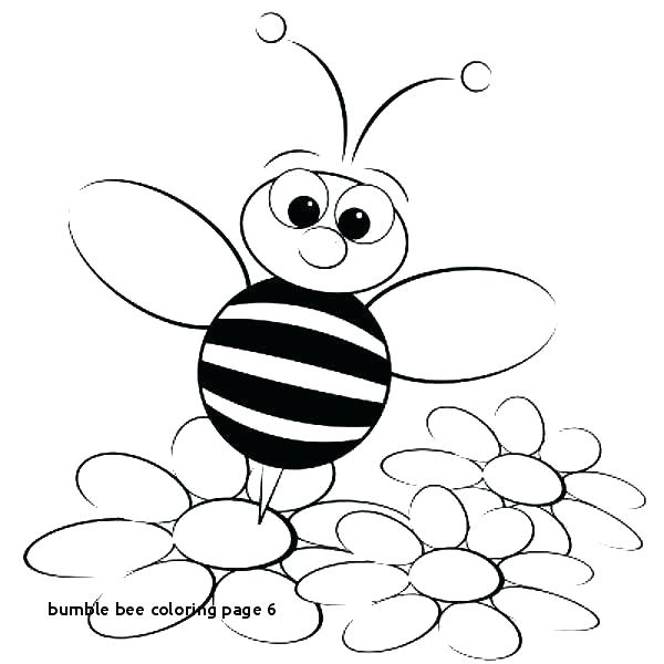 600x600 Drawings Of Bumble Bees Bumble Bee Drawing Google Search Reference