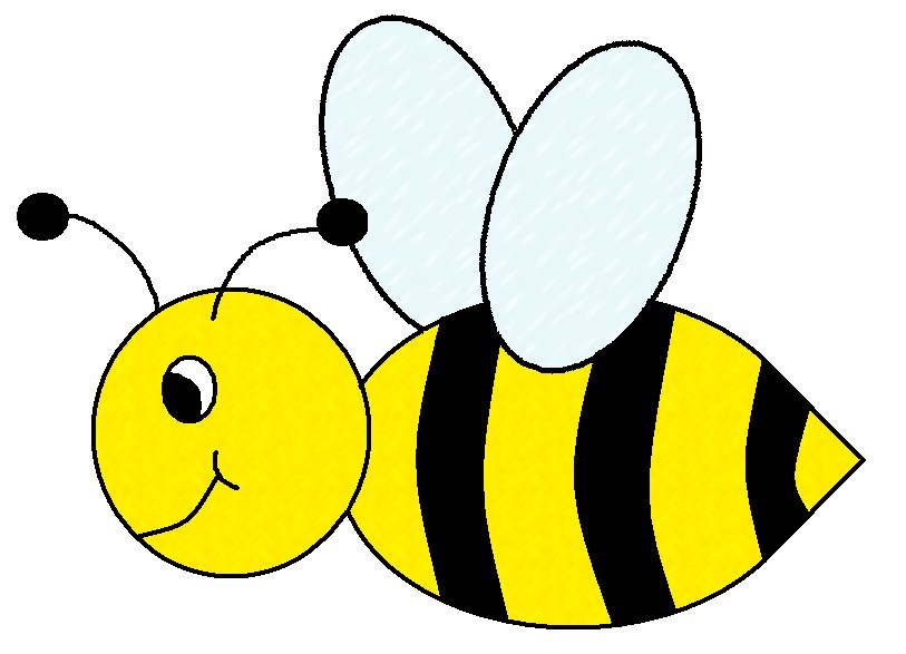 813x587 Bumble Bee Drawing Cartoon Bumblebee Clipart Cartoon Pencil