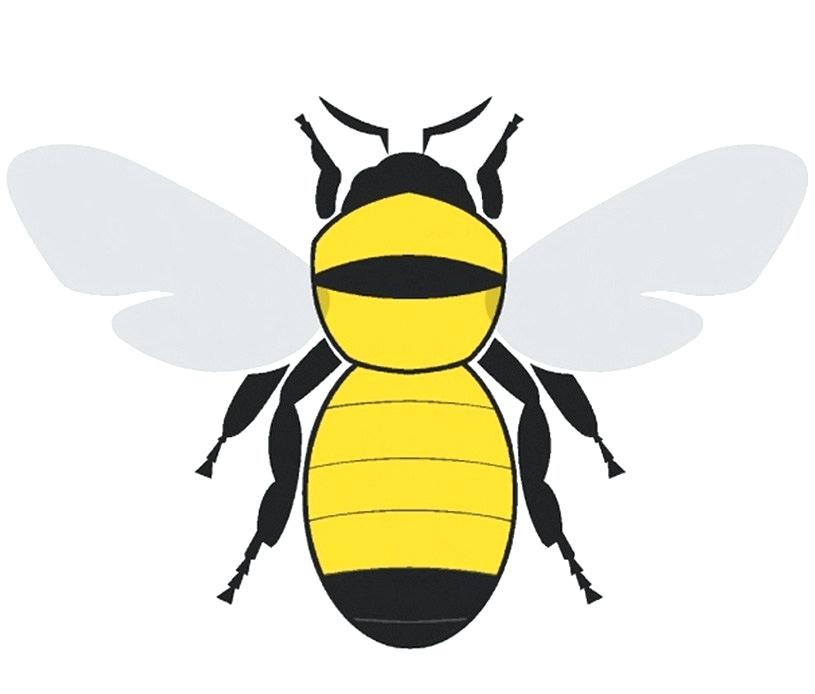 815x694 Bumble Bee Drawing