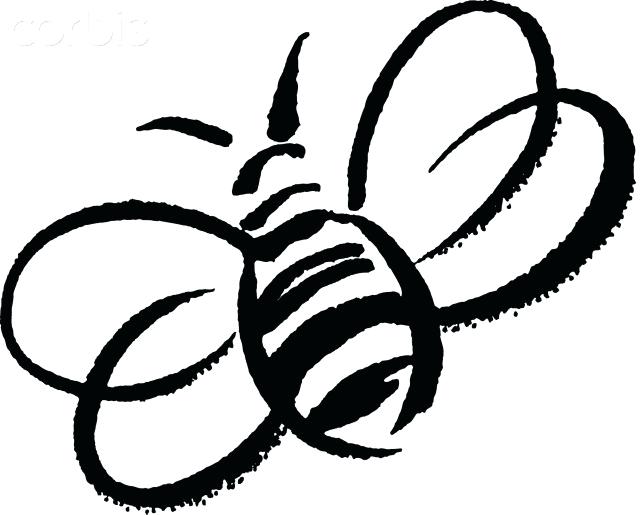 640x515 Bumble Bee Outline A Black And White Drawing Of A Bumblebee