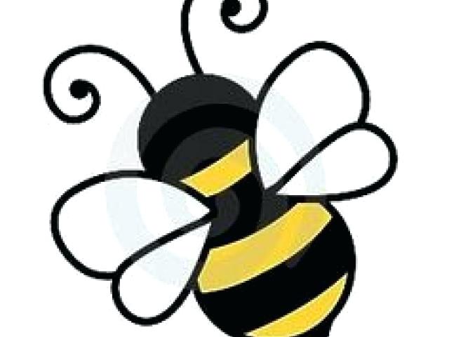 640x480 Bumblebee Drawing Bumble Bee Drawing Google Search Bumblebee