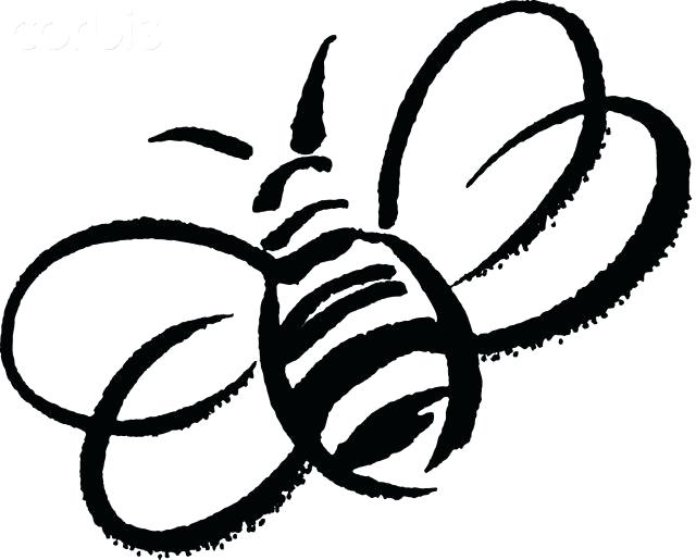 640x515 Bumble Bee Outline Cartoon Honey Bee Stock Photos