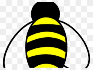 320x240 Bumblebee Clipart Bee Knee