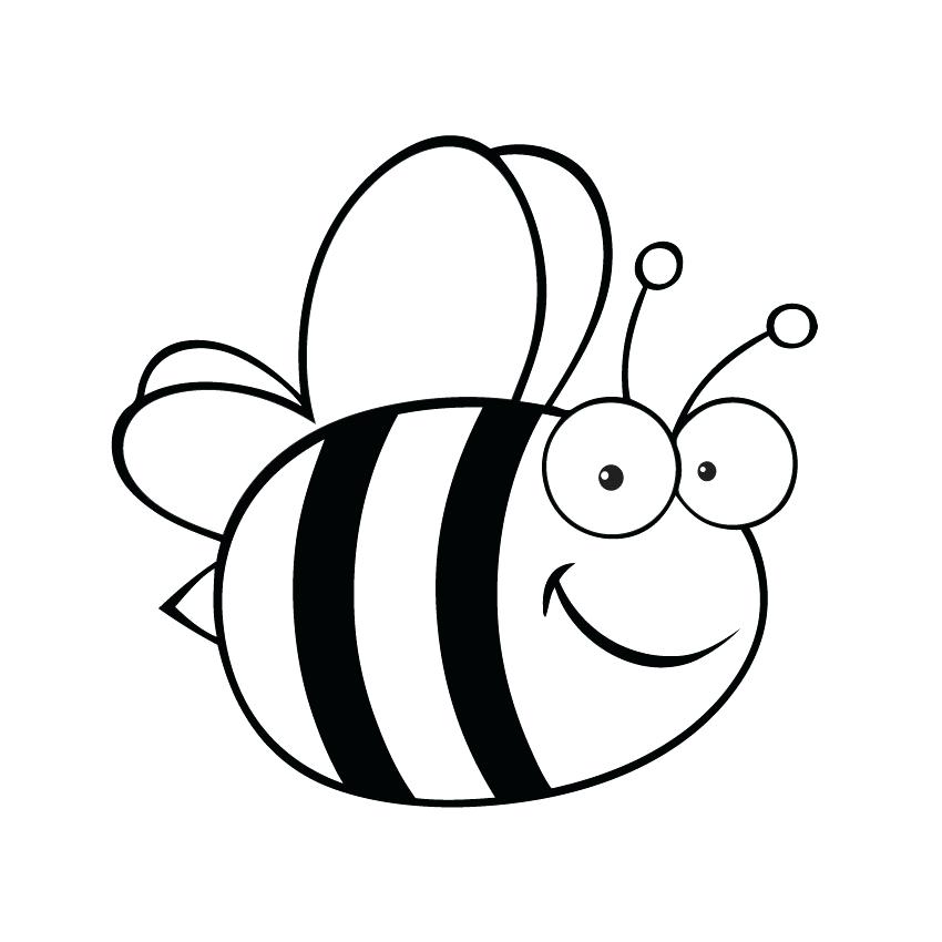 850x850 Collection Of 'bumble Bee Scientific Drawing' Download More Than