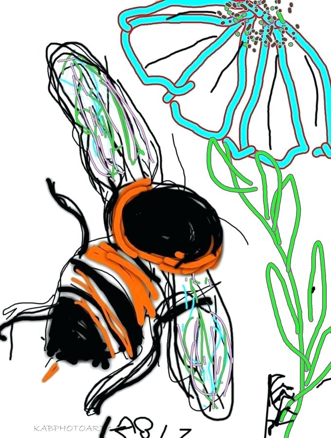 680x900 Drawings Of Bumble Bees How To Draw A Bumblebee Easy Way To Draw