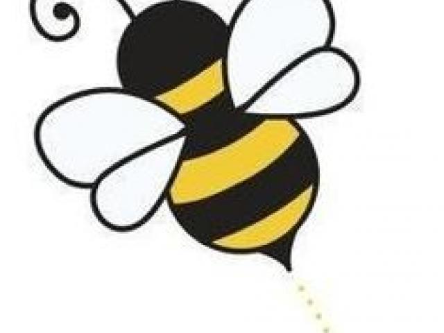 640x480 Drawn Bumblebee