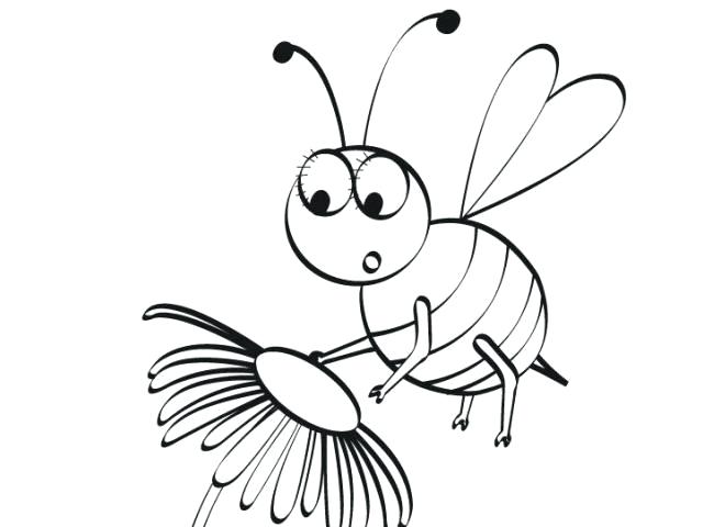 640x480 Bees Drawing