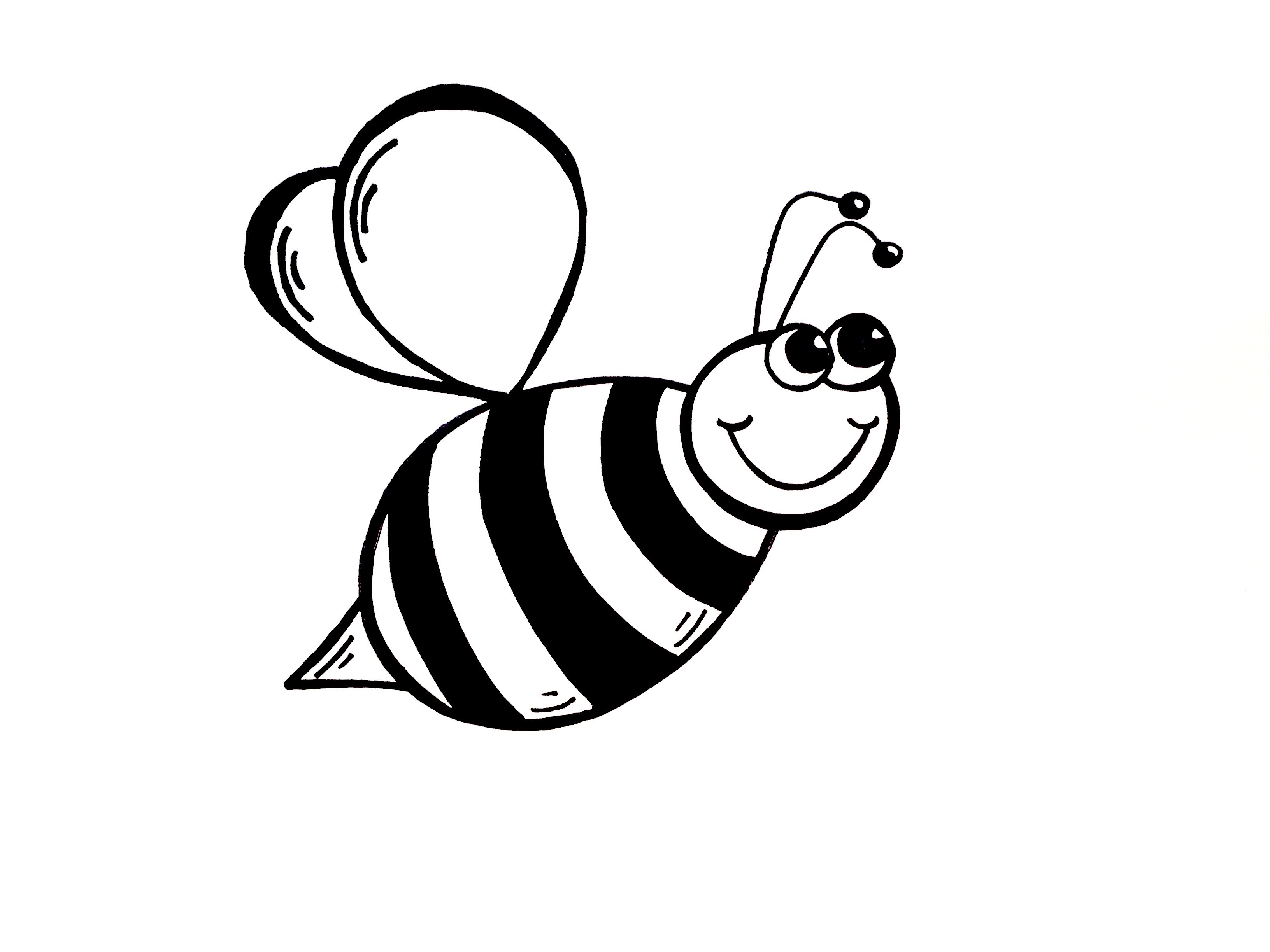 3264x2448 Bumblebee Clipart Black And White