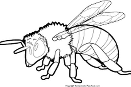 450x300 Drawing Bumblebee Realistic Frames Illustrations Hd Images